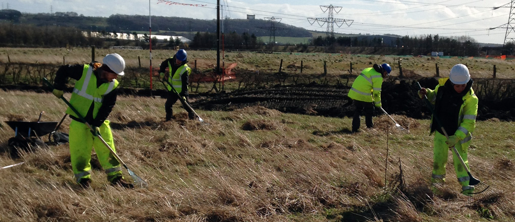 Ecological Clerk of Works, watching brief - Fingertip search