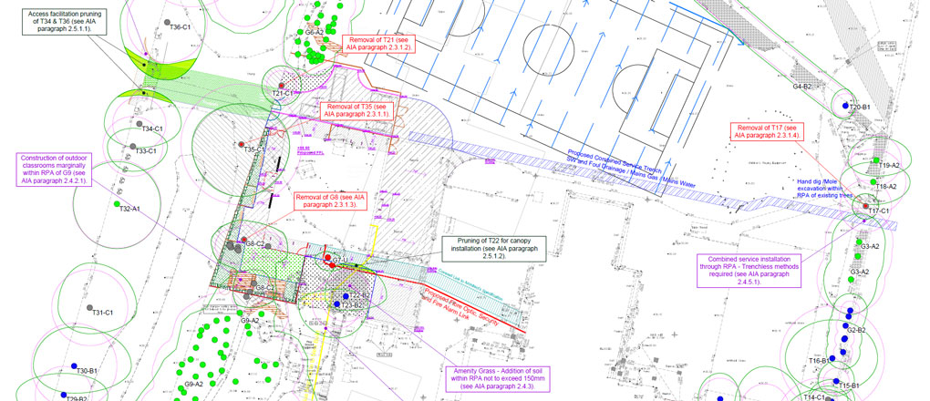 Arboricultural Impact Assessments